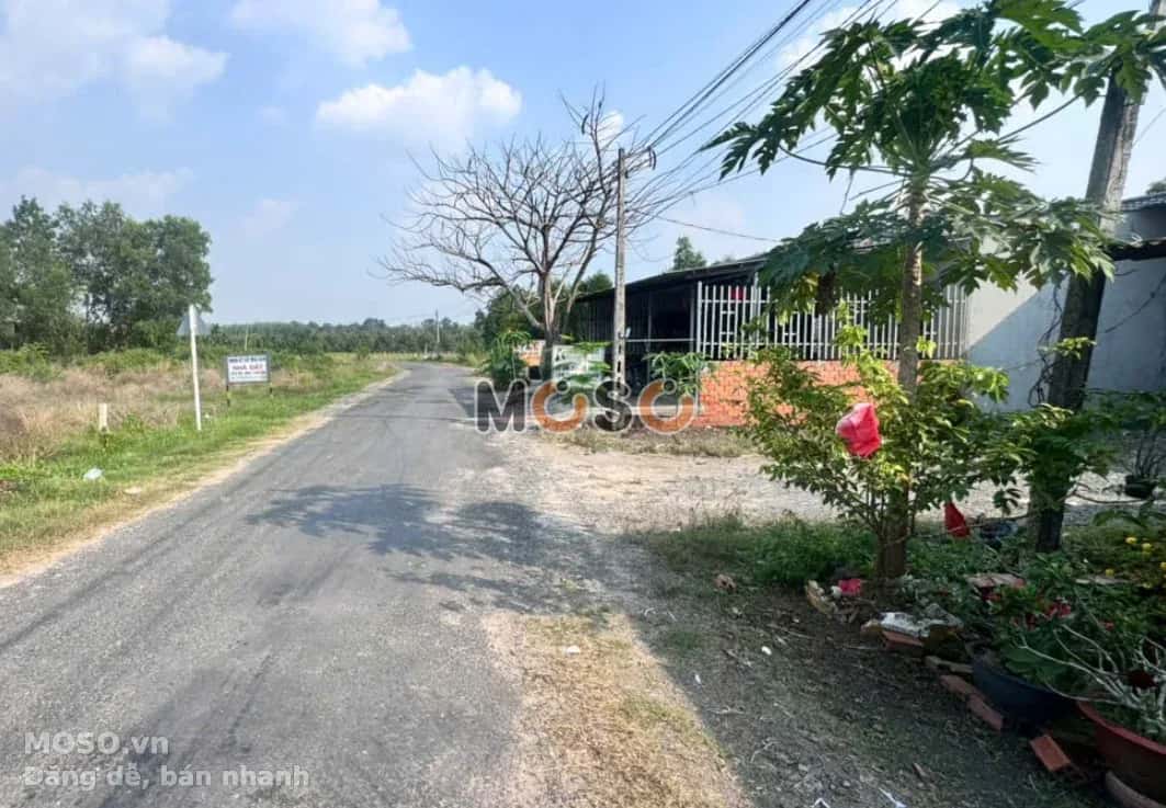 Bán đất Ấp Xóm Bố  Huyện Gò Dầu, Tây Ninh – giá 590 triệu - ảnh 4